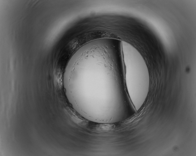 X0000100840479200806200742