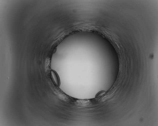 X0000100840480200806200742