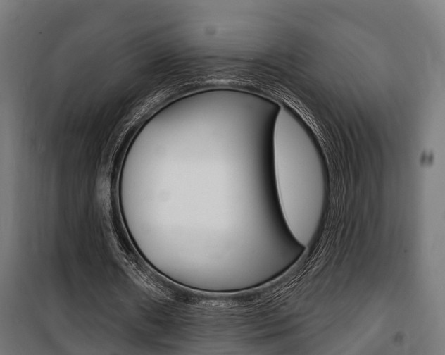 X0000100840482200806200742