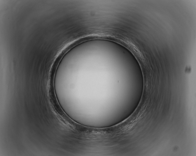 X0000100840484200806200742