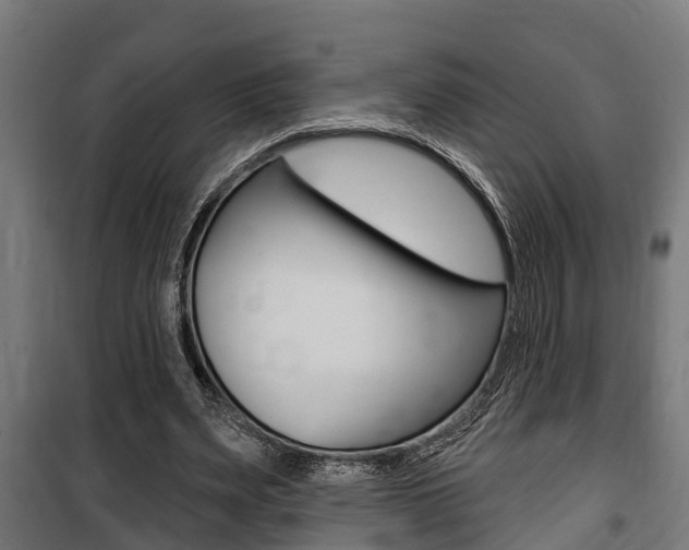 X0000100840487200806200742