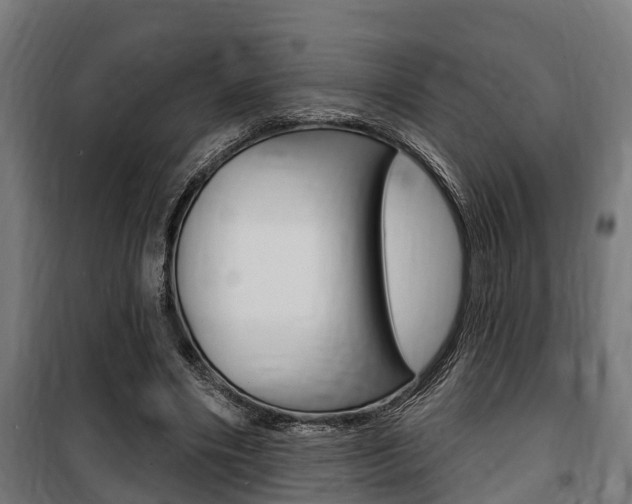 X0000100840490200806200742