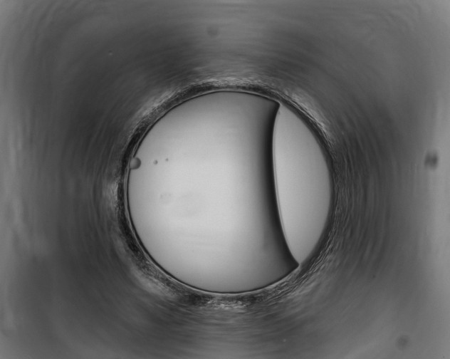 X0000100840491200806200742