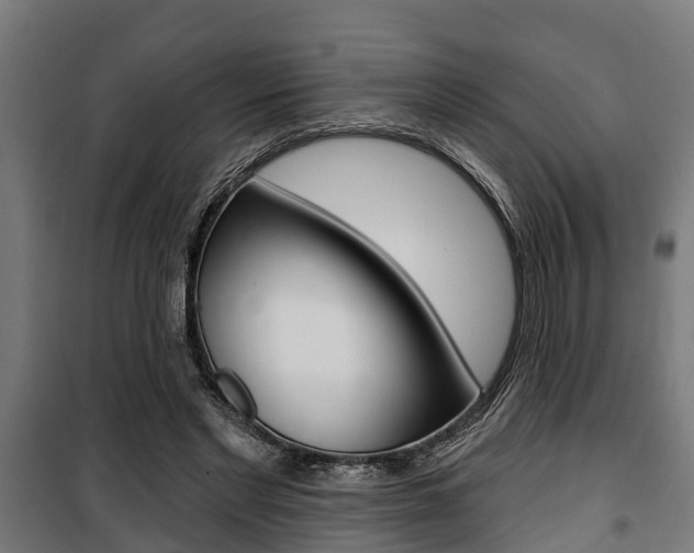 X0000100840493200806200741