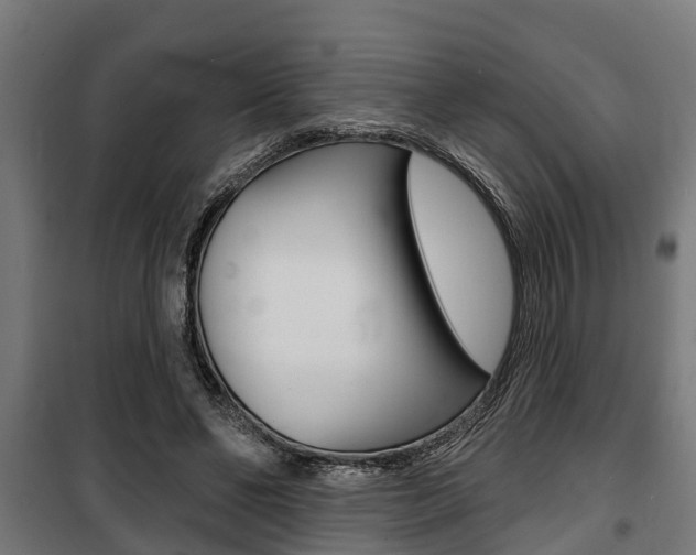 X0000100840494200806200741