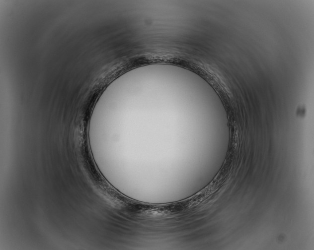 X0000100840498200806200741