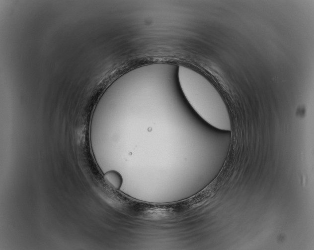 X0000100840499200806200741