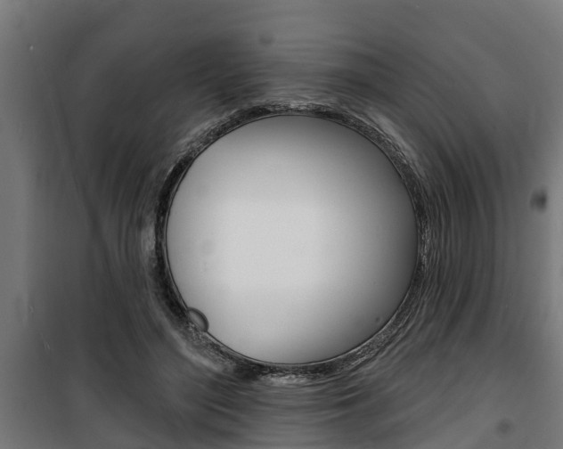 X0000100840500200806200741