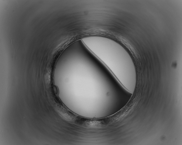 X0000100840501200806200741