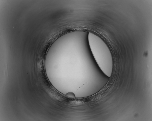 X0000100840503200806200741