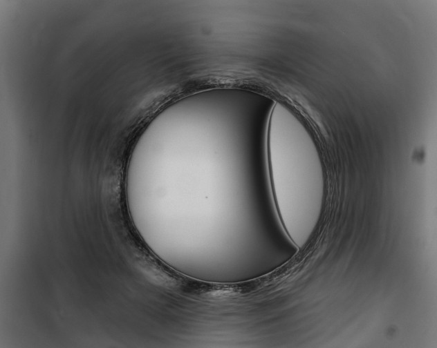 X0000100840505200806200741