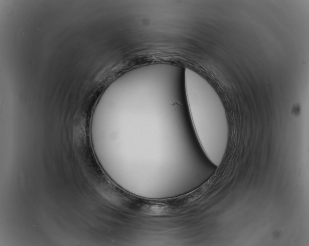 X0000100840506200806200741