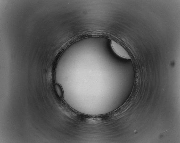 X0000100840508200806200741