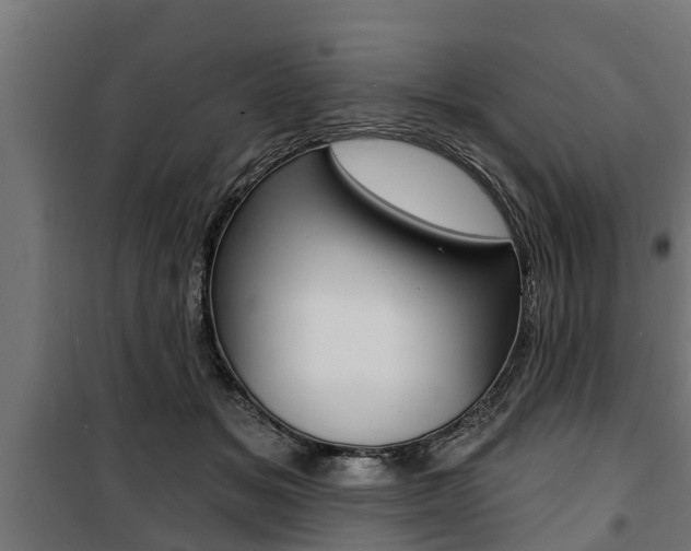 X0000100840509200806200741