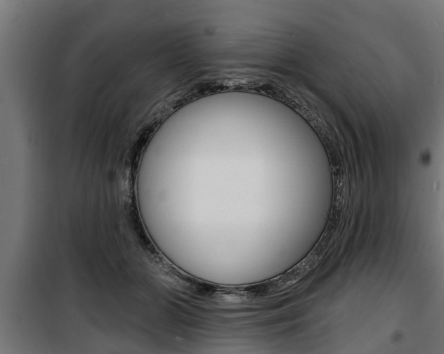 X0000100840510200806200741