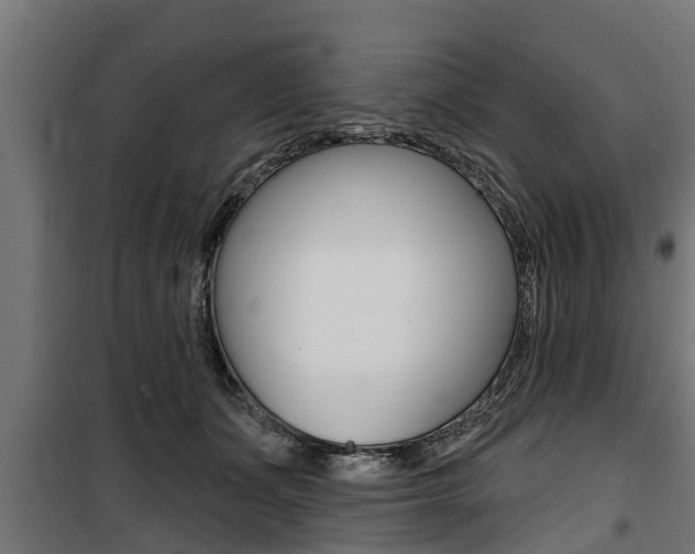 X0000100840511200806200741