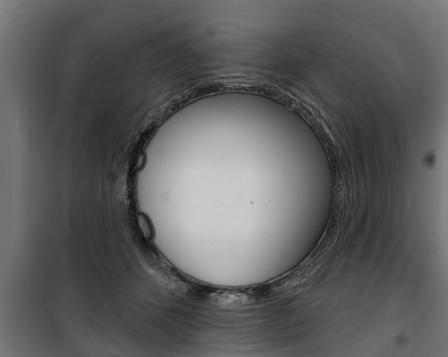 X0000100840512200806200741