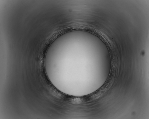 X0000100840513200806200741