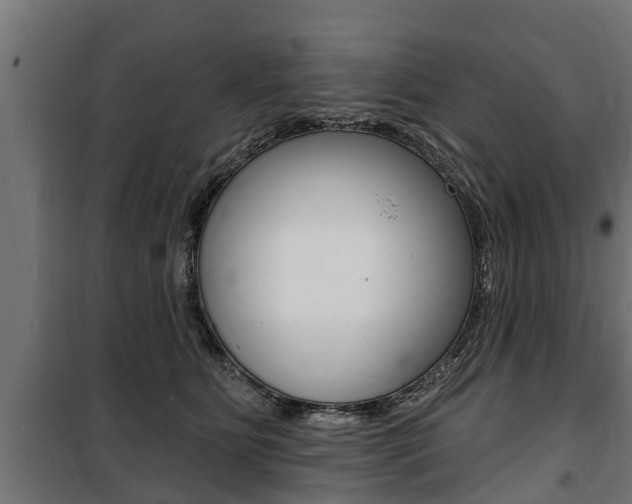 X0000100840515200806200741