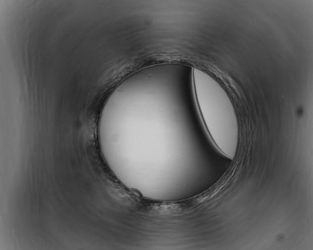 X0000100840517200806200741