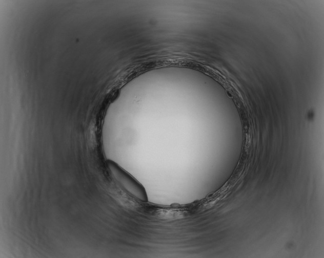 X0000100840520200806200741