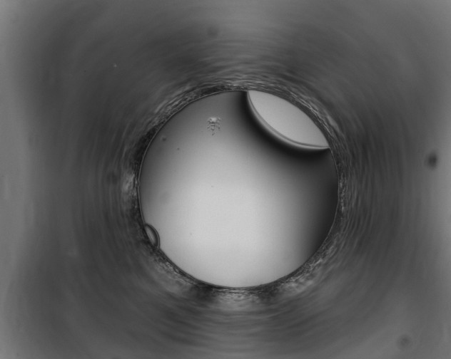 X0000100840521200806200741