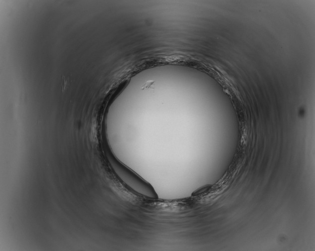 X0000100840524200806200741