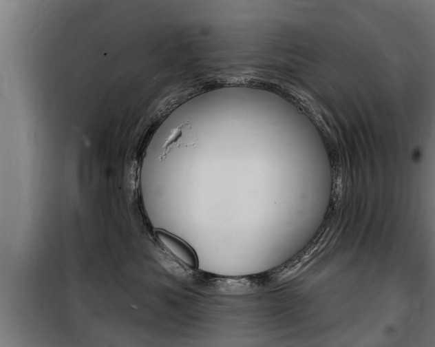 X0000100840525200806200741