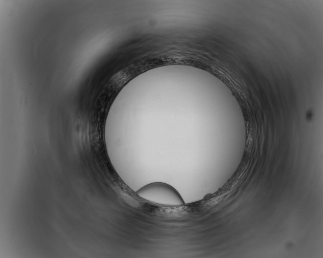 X0000100840526200806200741