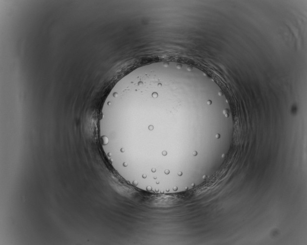 X0000100840527200806200741