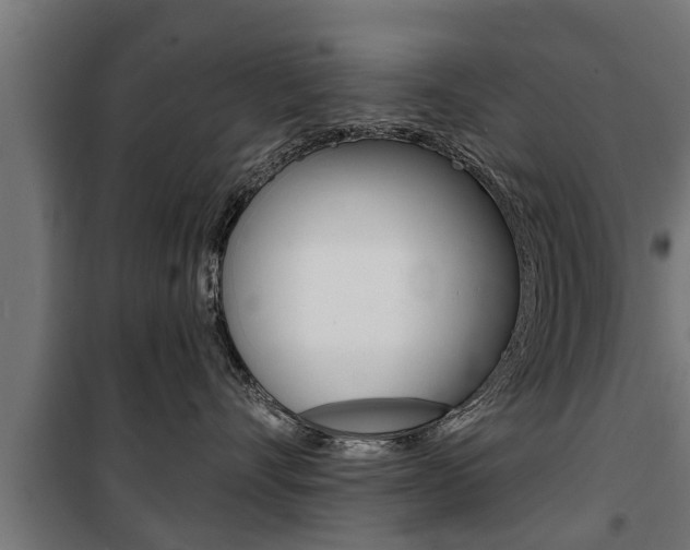 X0000100840528200806200741