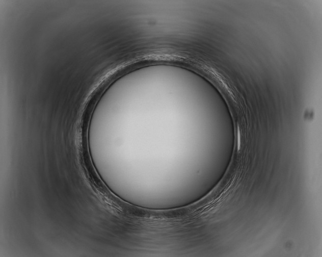 X0000100840531200806200740