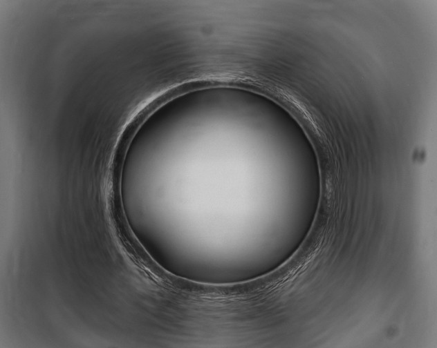 X0000100840532200806200740