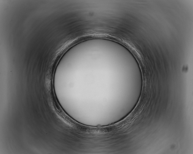 X0000100840533200806200740