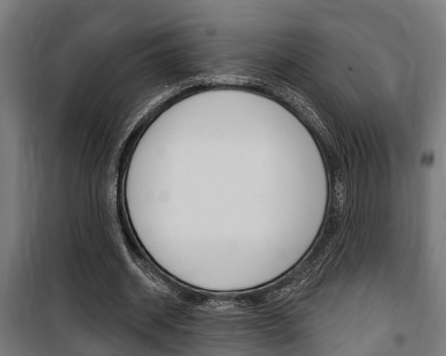 X0000100840534200806200740