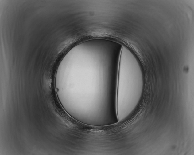 X0000100840539200806200740