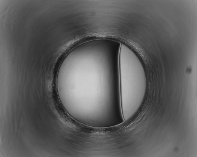 X0000100840540200806200740