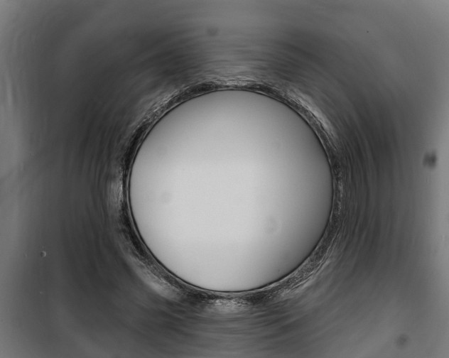 X0000100840541200806200740