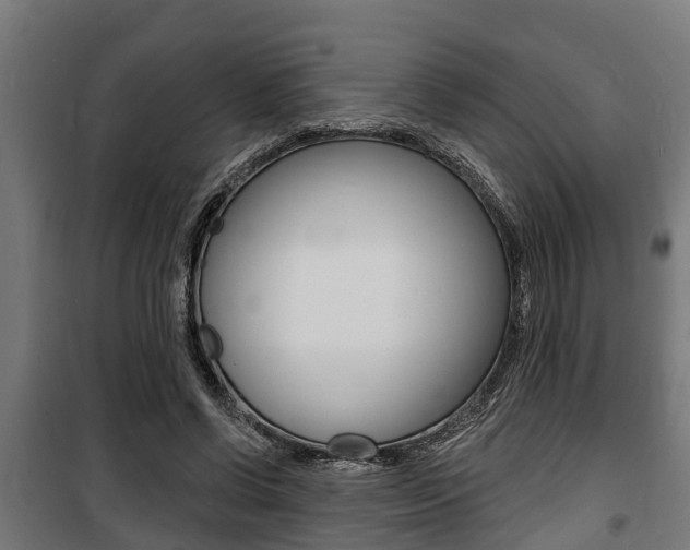 X0000100840542200806200741