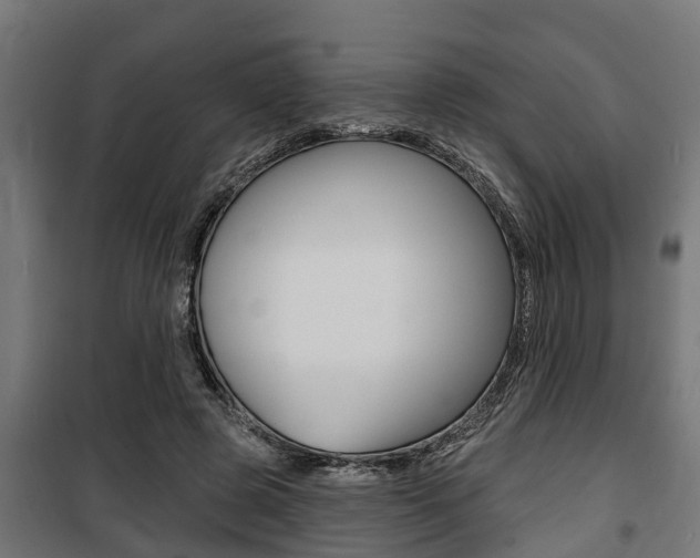 X0000100840545200806200741