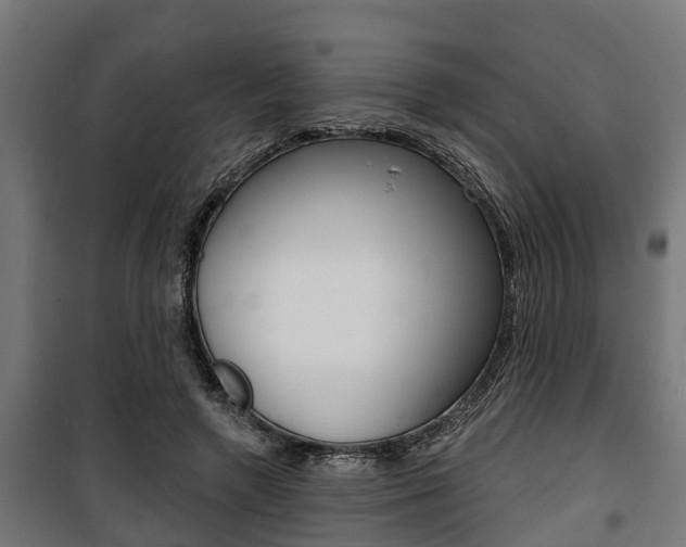 X0000100840546200806200741