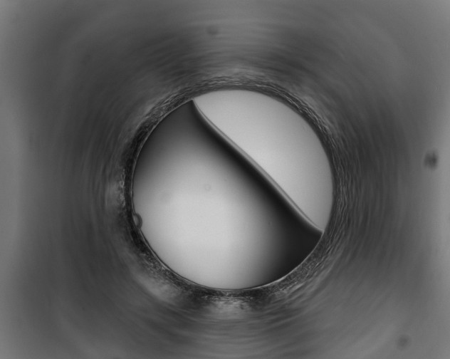 X0000100840547200806200741