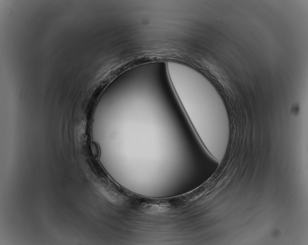 X0000100840548200806200741