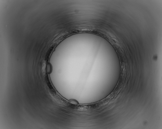 X0000100840550200806200741