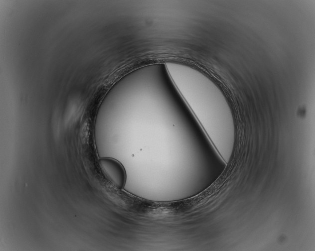 X0000100840551200806200741