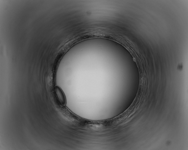 X0000100840552200806200741