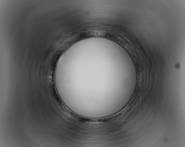 X0000100840553200806200741