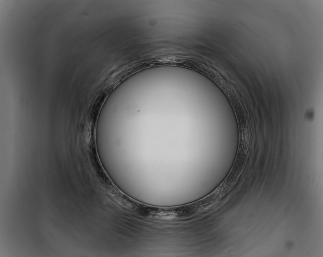 X0000100840554200806200741