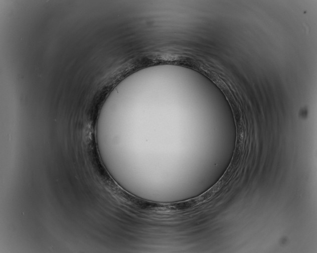 X0000100840555200806200741