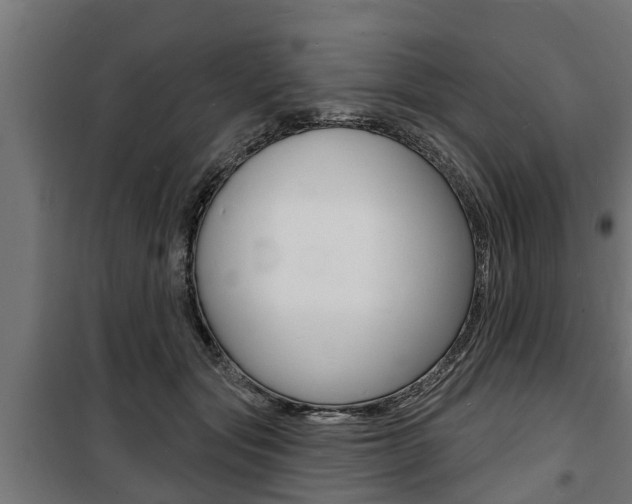 X0000100840557200806200741